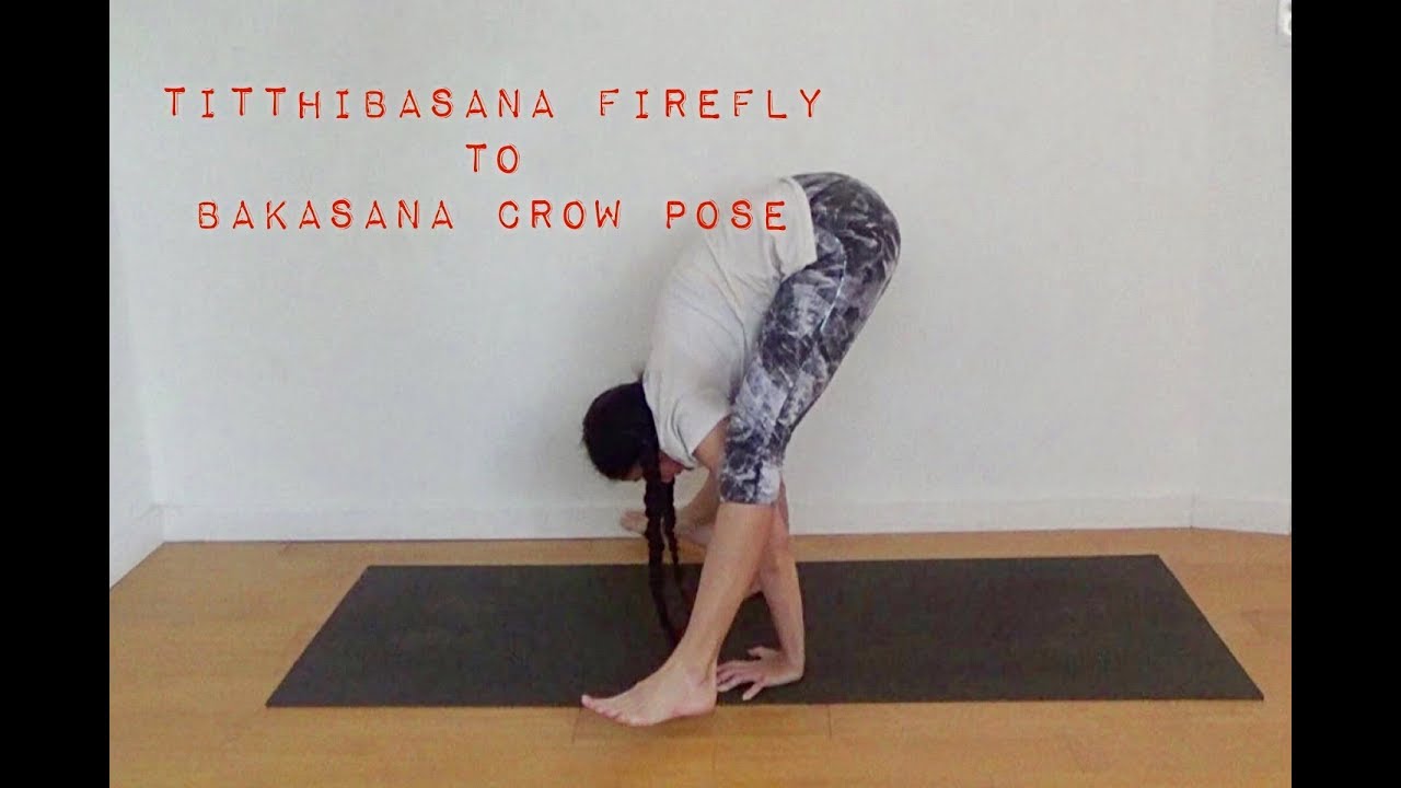 Yoga Firefly To Crow Pose (Tittibhasana To Bakasana) - Shana Meyerson YOGAthletica