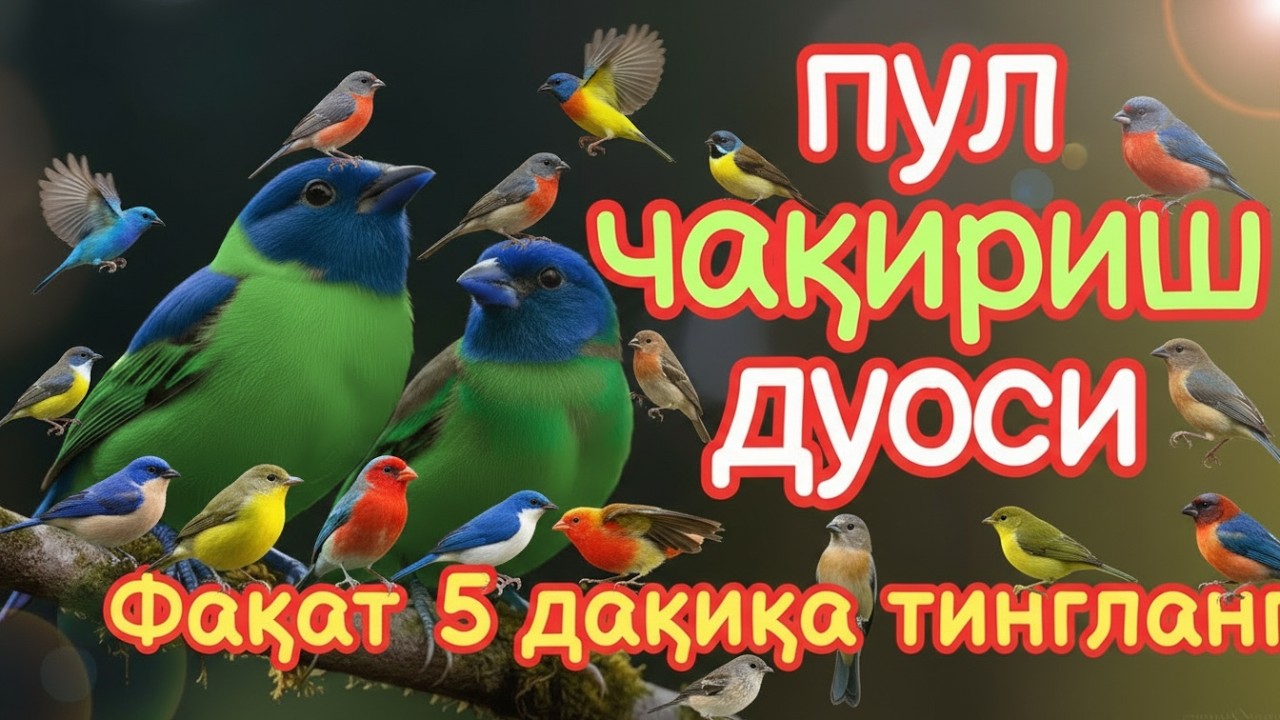 🔴 Тинглаганингиздан 5 дақиқа ўтгач, сиз пул оласиз-ДУА МУСТАЖАБ, ҳақиқий мўжизаларга ега бўлинг