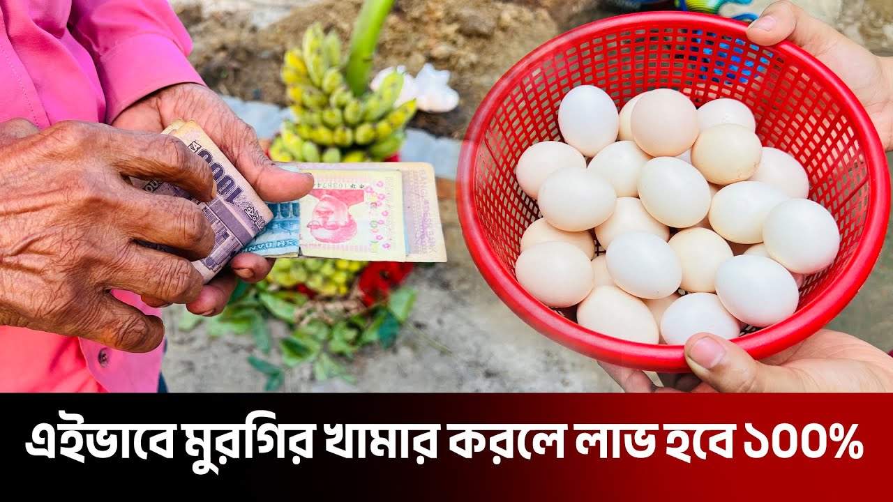 দেশি মুরগির ডিম বিক্রি করে কত টাকা আয় করলাম | দেশি মুরগি পালন