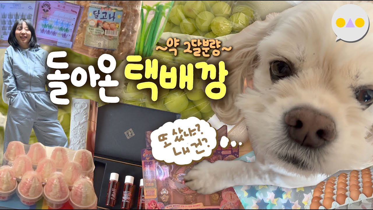 {택배둥} 테무/알리/쿠팡/해외직구/무신사 박박 긁어모아 택배깡