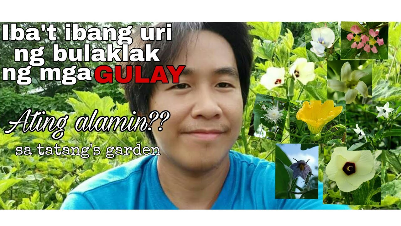 IBA'T IBANG URI NG BULAKLAK NG MGA GULAY. ATING ALAMIN! || tatang's garden