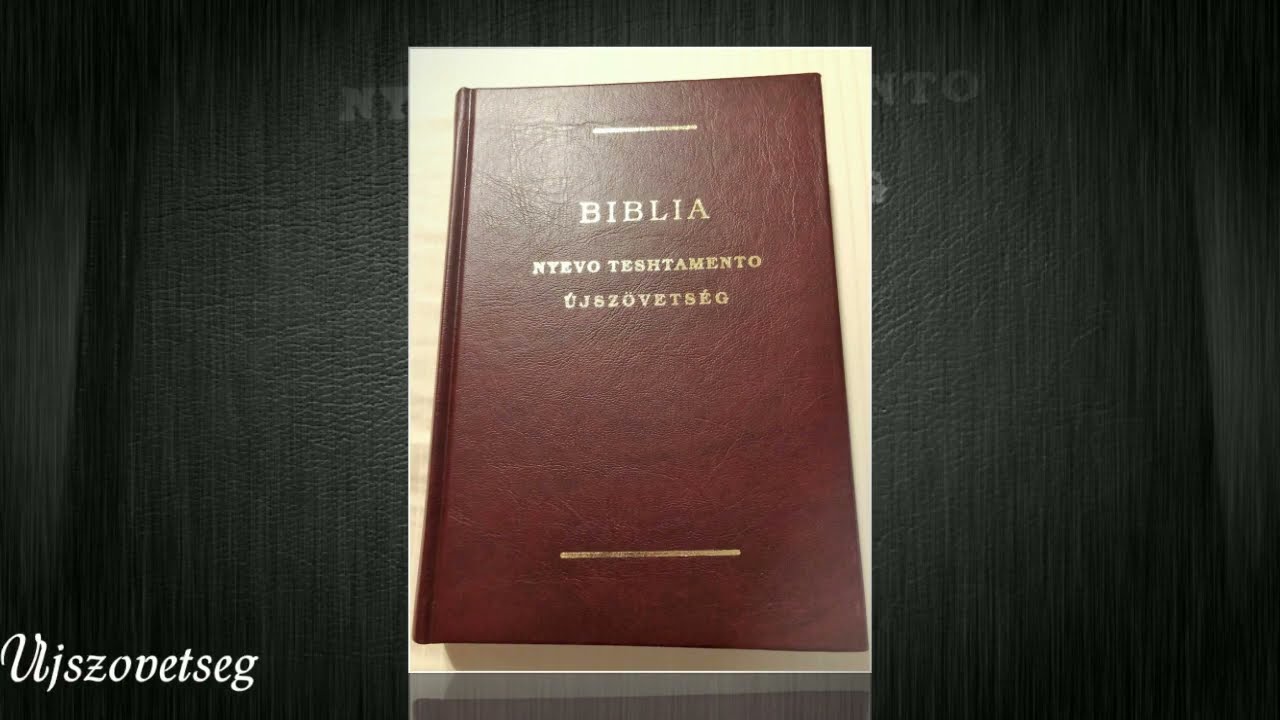 Gypsy-Hungarian New Testament | Cigany-Magyar Ujszovetseg
