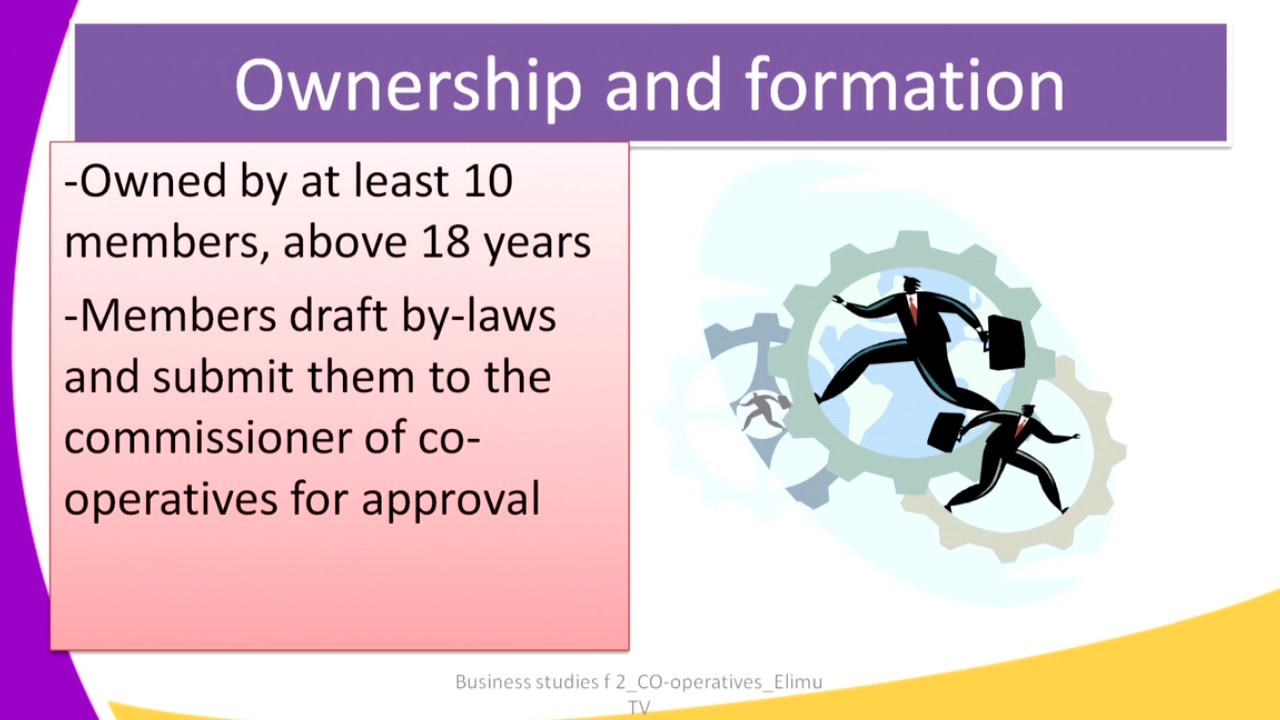 Form2 Business Studies Lesson3 Forms of Business units co operatives part1