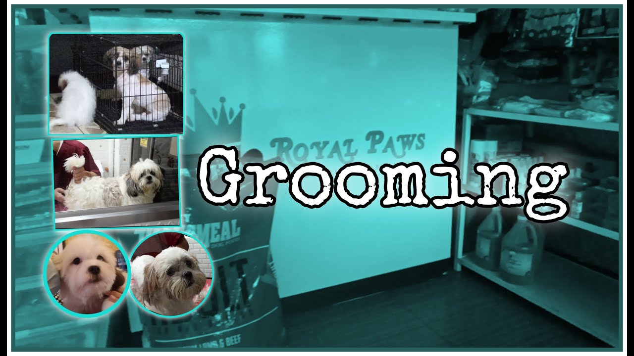 Grooming time