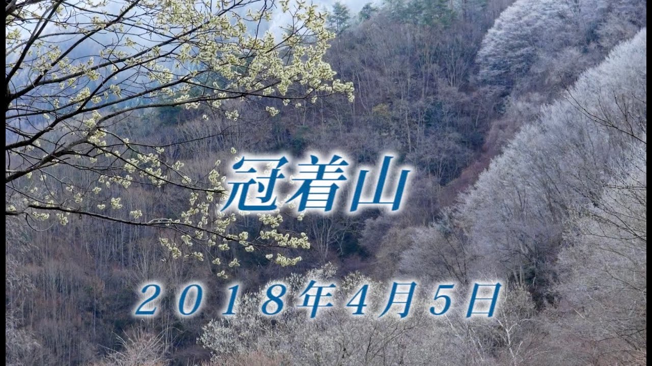 92 上信越 冠着山4月 2018年4月5日 - 生物多様性体験保全センター 高山植物を主とした野生植物の映像集