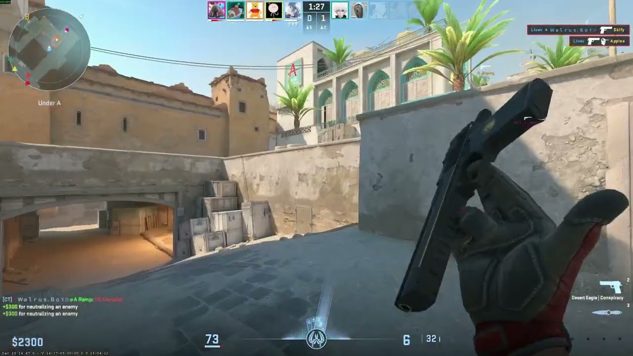 pistols