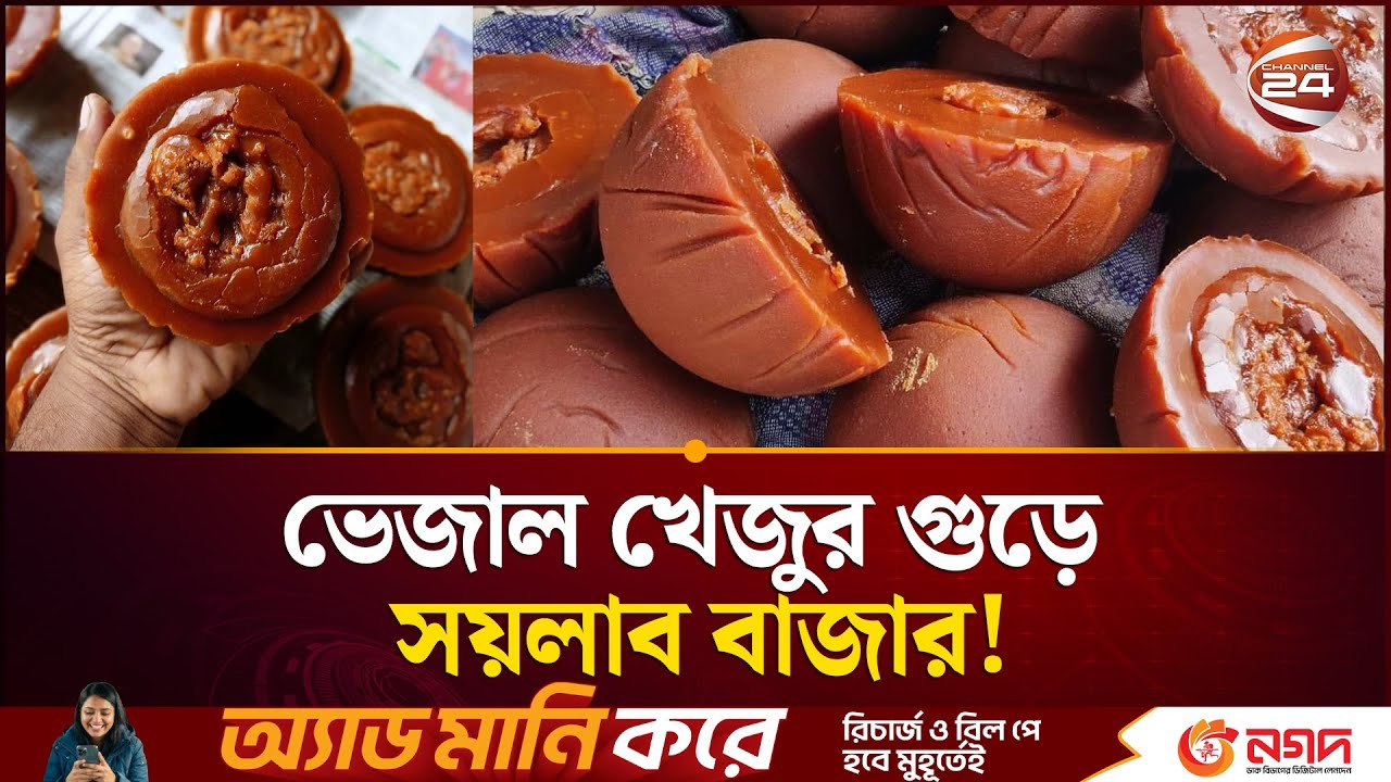 ভেজাল গুড়ের প্রভাবে লোকসানে গাছিরা | Khejur Gur | Kushtia News | Channel 24