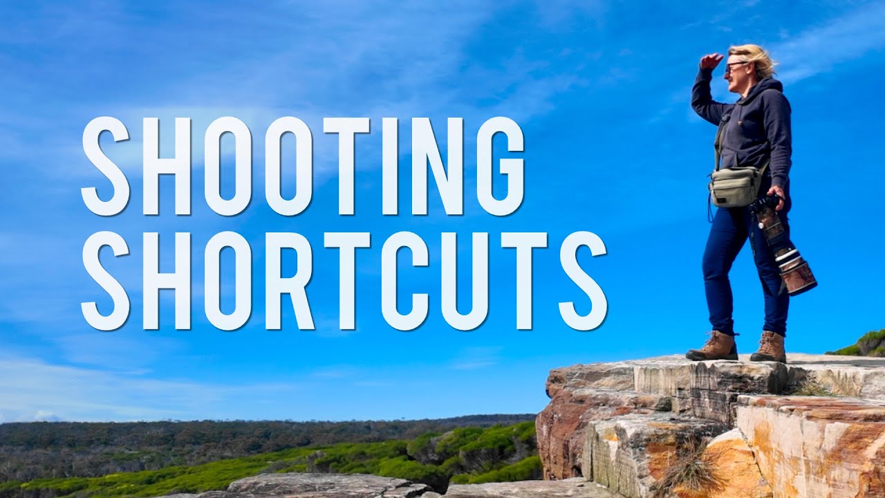 Поднимите свой уровень фотографии птиц на один день!