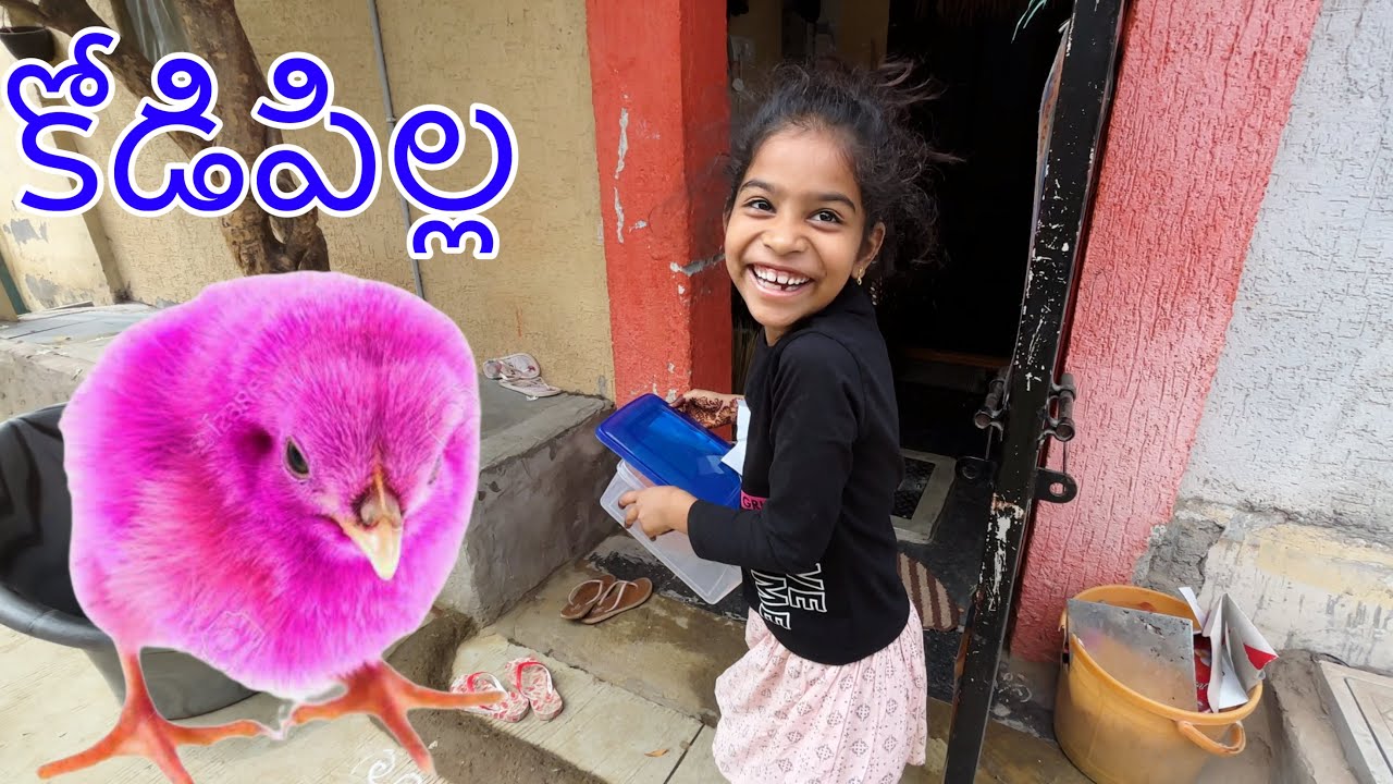 జానవి కోడిపిల్లను చూసి ఎంత సంతోష పడుతుందో || కోడిపిల్ల video || janavi videos