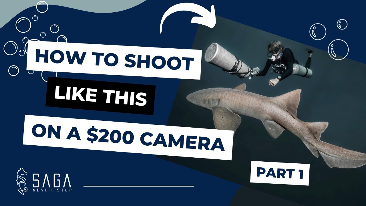 Professional Underwater Photos on a BUDGET // Part 1