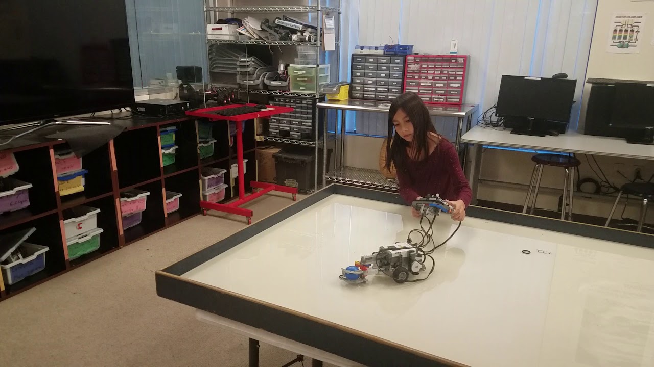 Katelyn V. - Claw bot w/ game controller