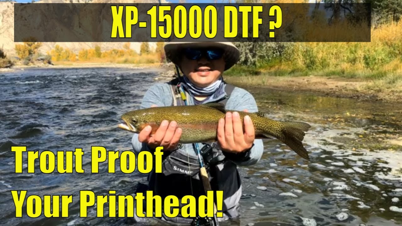 6 STEP XP-15000 DTF Conversion: Relocate CSIC, Waterproof Printhead, Remove Star Wheel