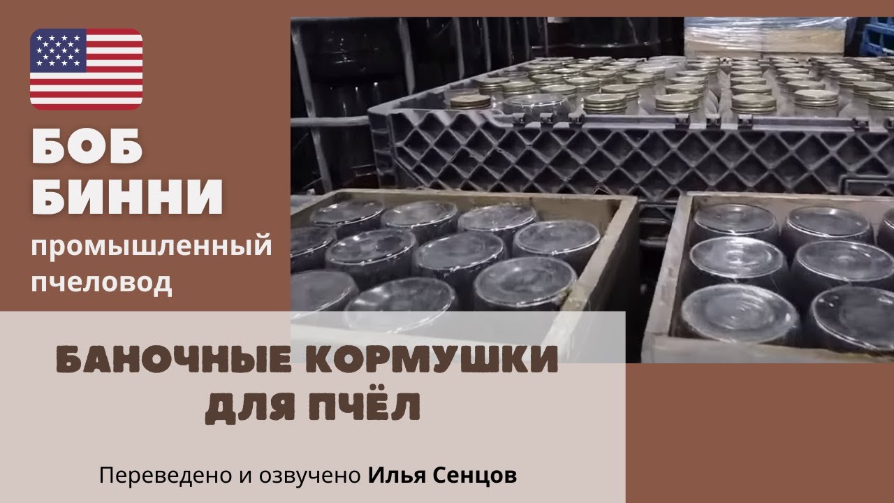 Фруктозный и сахарный сироп для пчел. Ведерные и баночные кормушки для пчел (Боб Бинни, США)