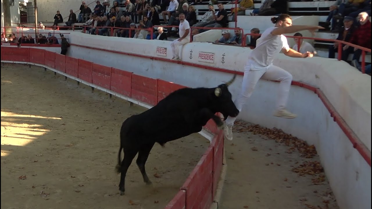 montfrin course de ligues le 15 10 2025