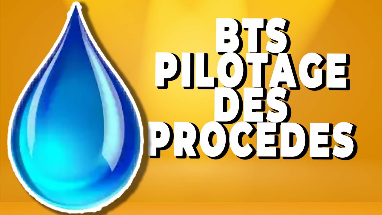 BTS PILOTAGE DES PROCÉDÉS - LYCÉE MIREILLE GRENET