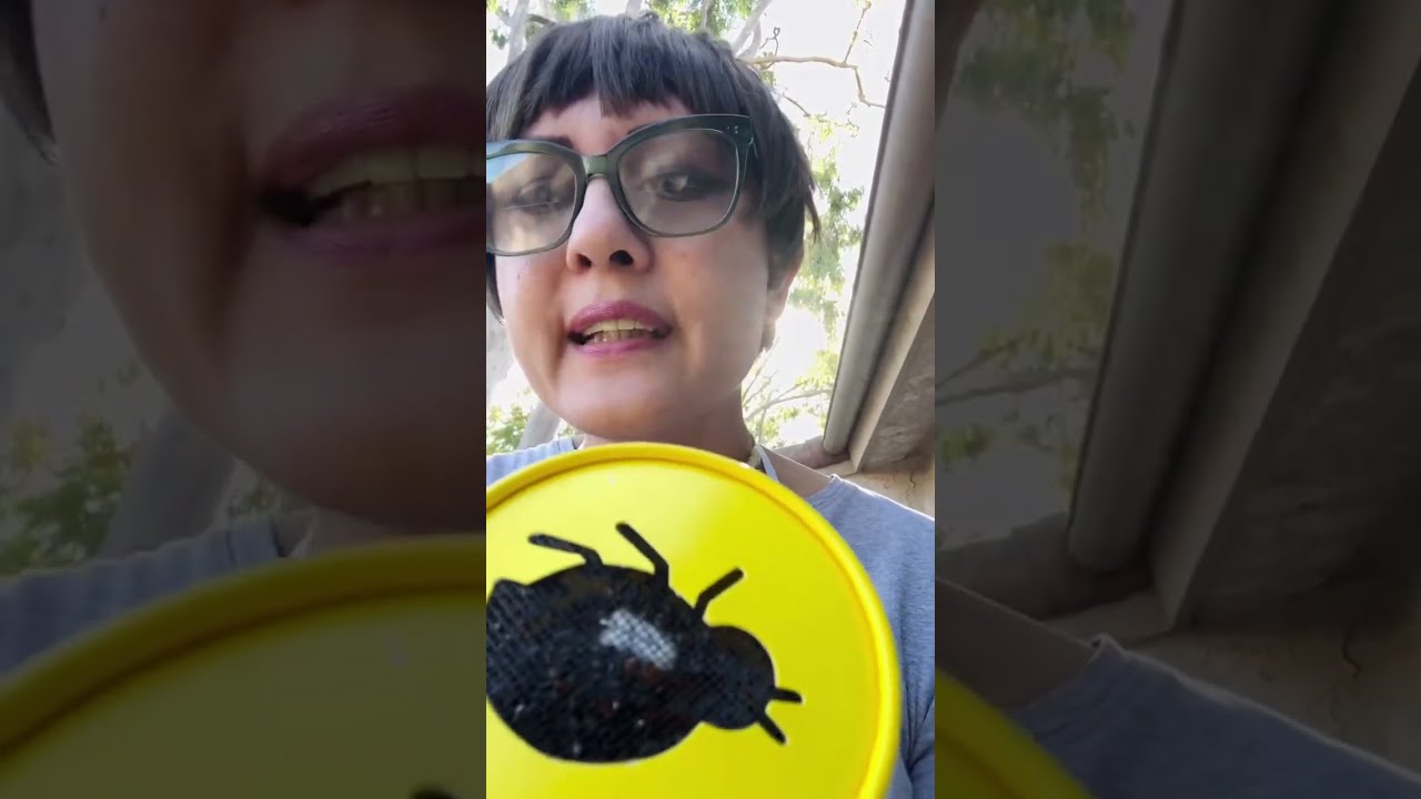 Spider Mite Infestation; Operation Ladybug | Henna’s Channel