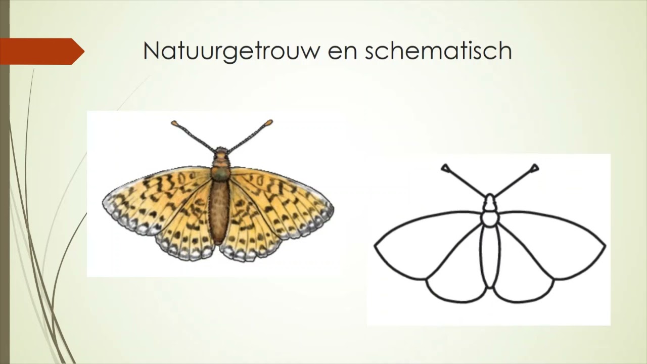 De tekenregels