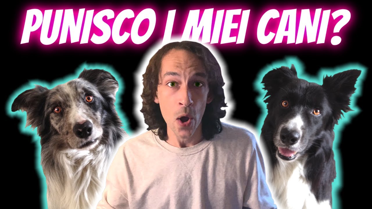 Prima di PUNIRE il tuo CANE ascolta MALE!!!! | PUNIZIONE+ PUNIZIONE-