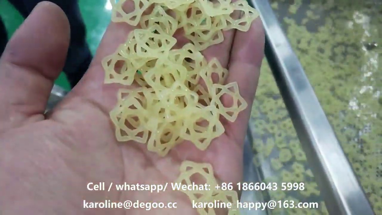 2D Wheat and Potato Snacks Pellet Fryums Extrusion Making Machine Production Line by DG Machinery