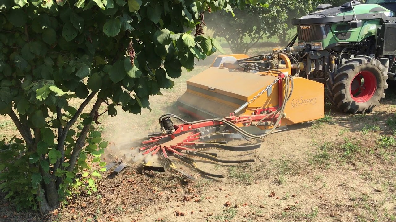 Raccolta nocciole con Fendt vario