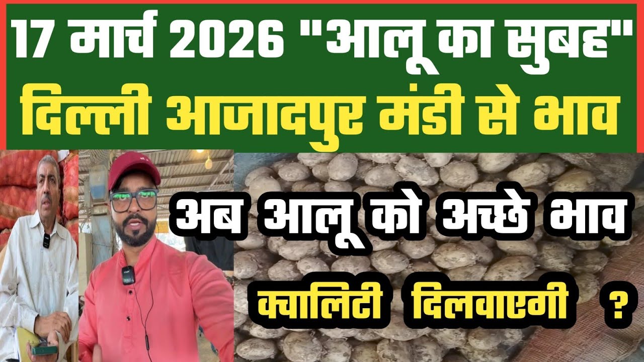 अच्छे आलू को ढूंढ रहा ग्राहक ? 🤔 Azadpur Delhi Mandi Today में 17-03-2026 के Potato Price DMT TV