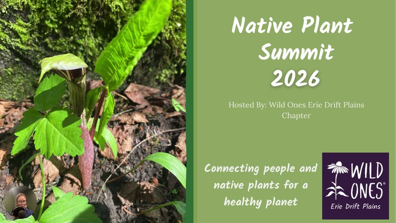 Native Plant Summit | Welcome & Introduction