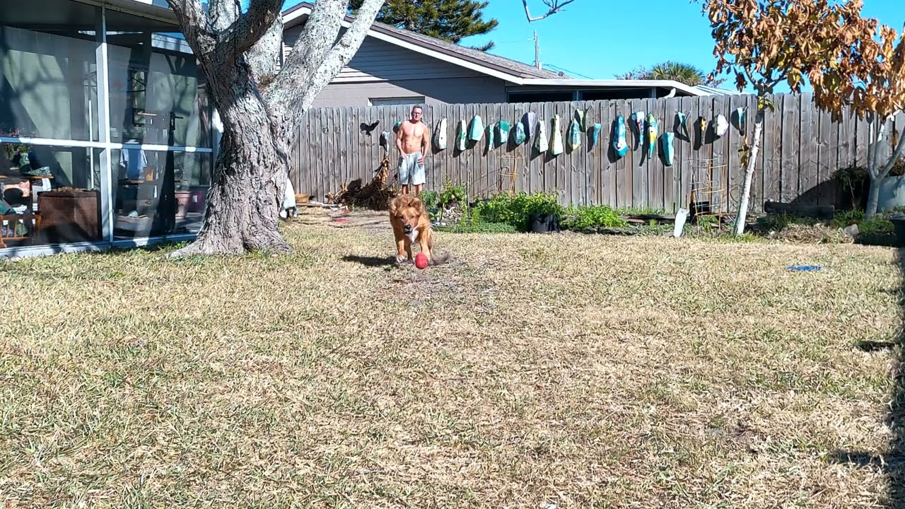 Fetching Foxy 75 Says karma is a b