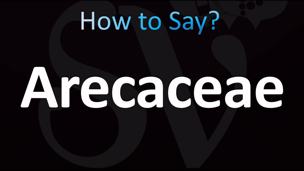 How to Pronounce Arecaceae (CORRECTLY!)
