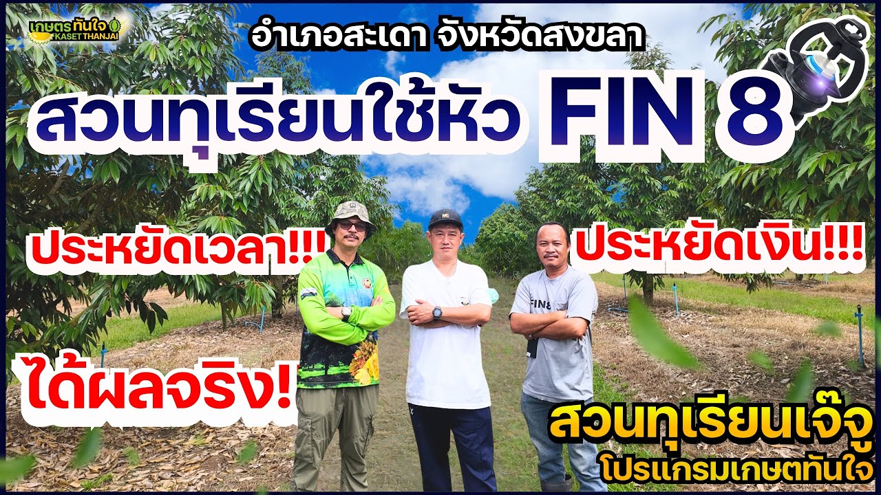 (สวนทุเรียนเจ๊จู อ.สะเดา จ.สงขลา)สวนทุเรียนใช้หัวFIN8 ประหยัดเวลา ประหยัดเงิน ได้ผลจริง | เกษตรทันใจ