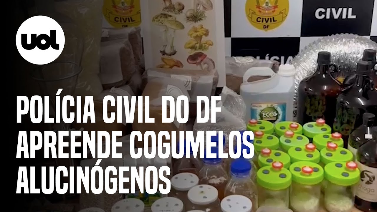 Polícia Civil do DF apreende cogumelos alucinógenos produzidos em laboratório clandestino