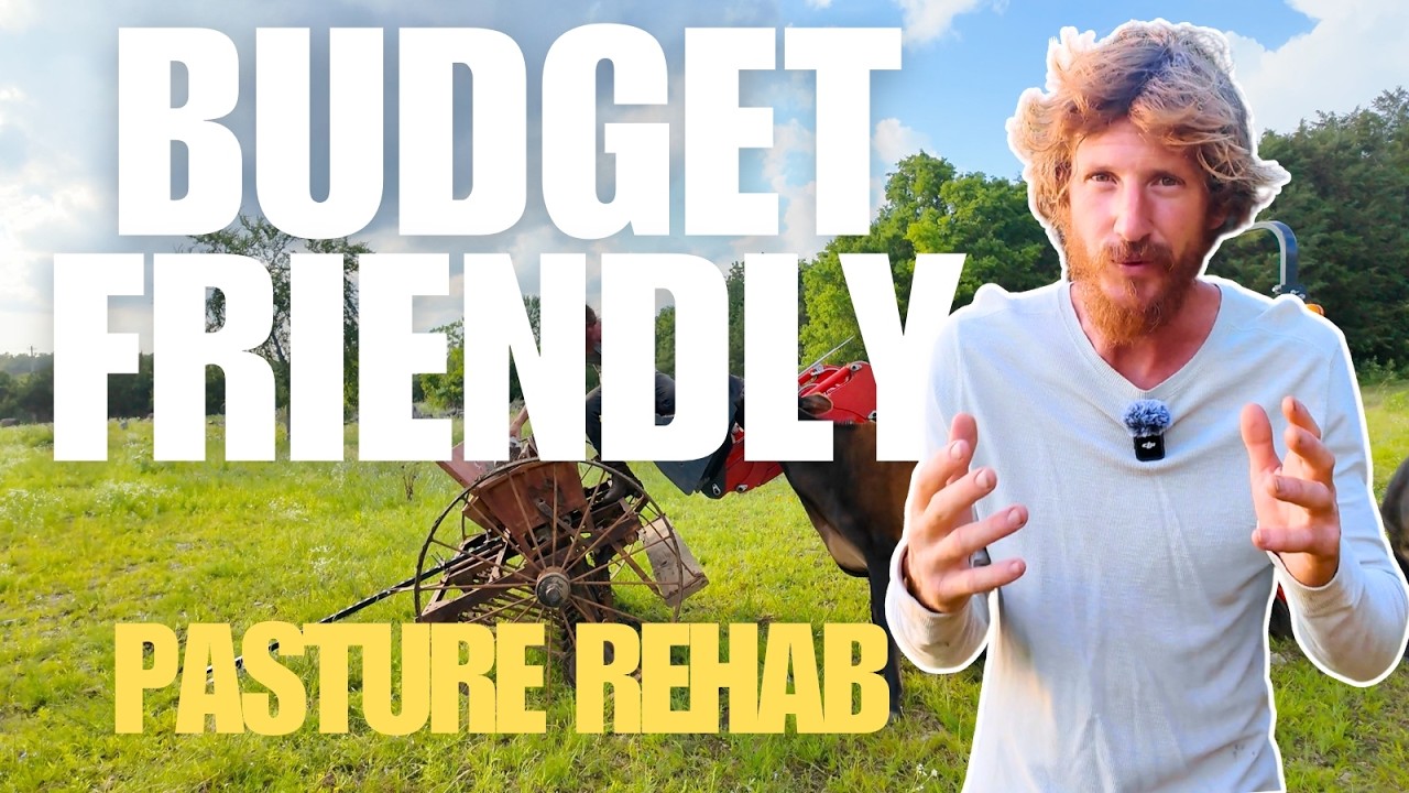 Budget Friendly Pasture Management
