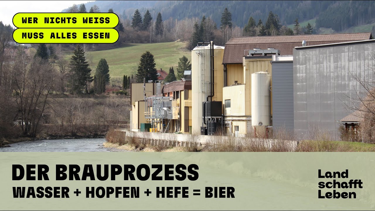 Der Brauprozess: Wasser + Malz + Hopfen + Hefe = Bier