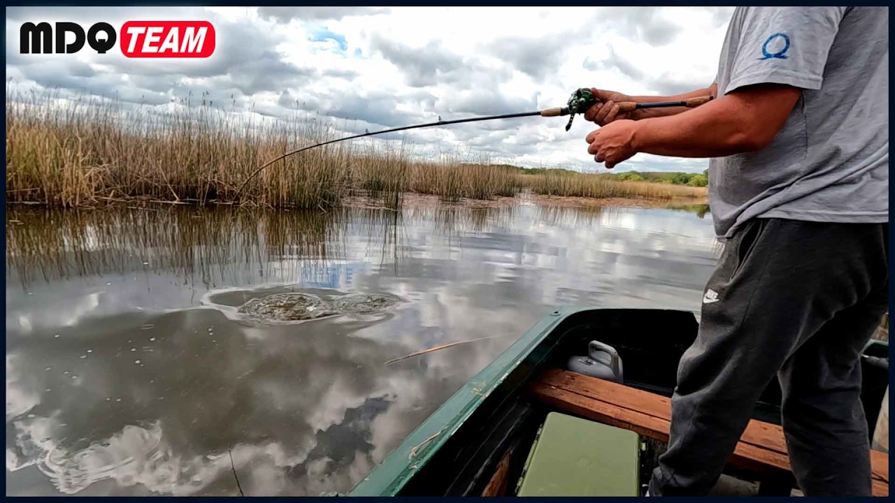 La pesca más emocionante: tarariras bravías