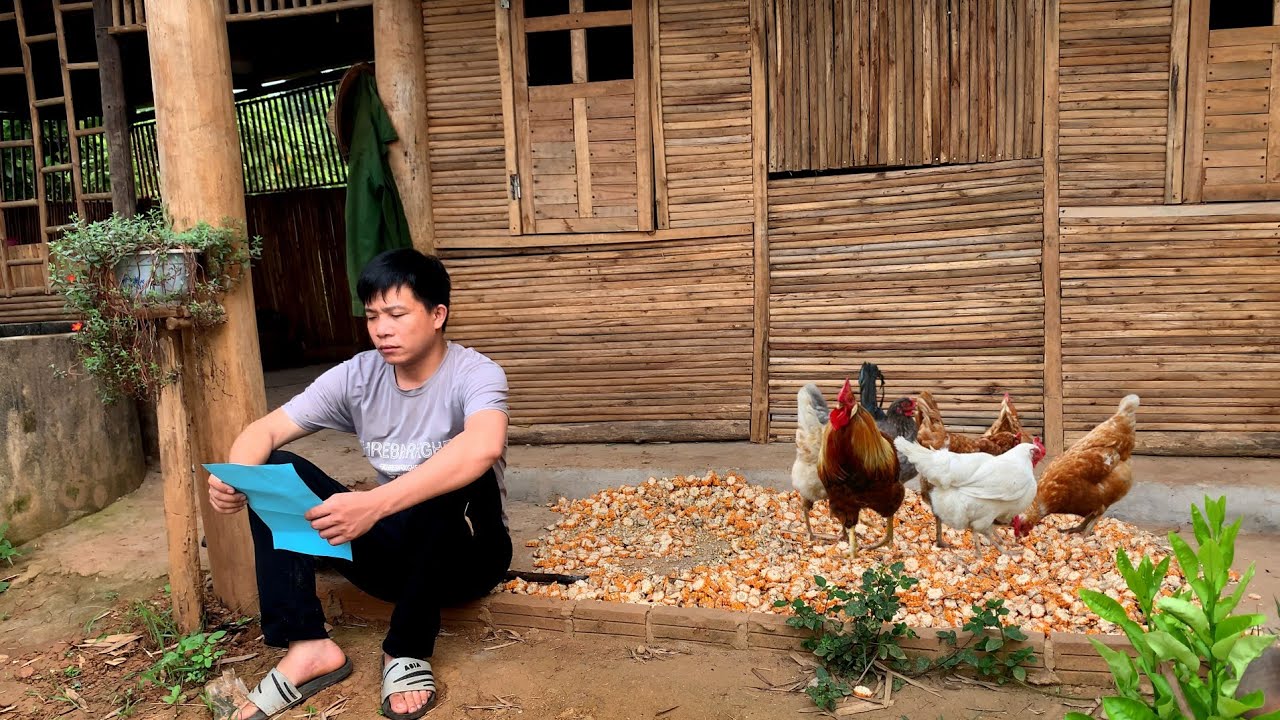 Sadness, when the debt to buy land from the bank,lost 3 hens,Fertilize and weed the vegetable garden