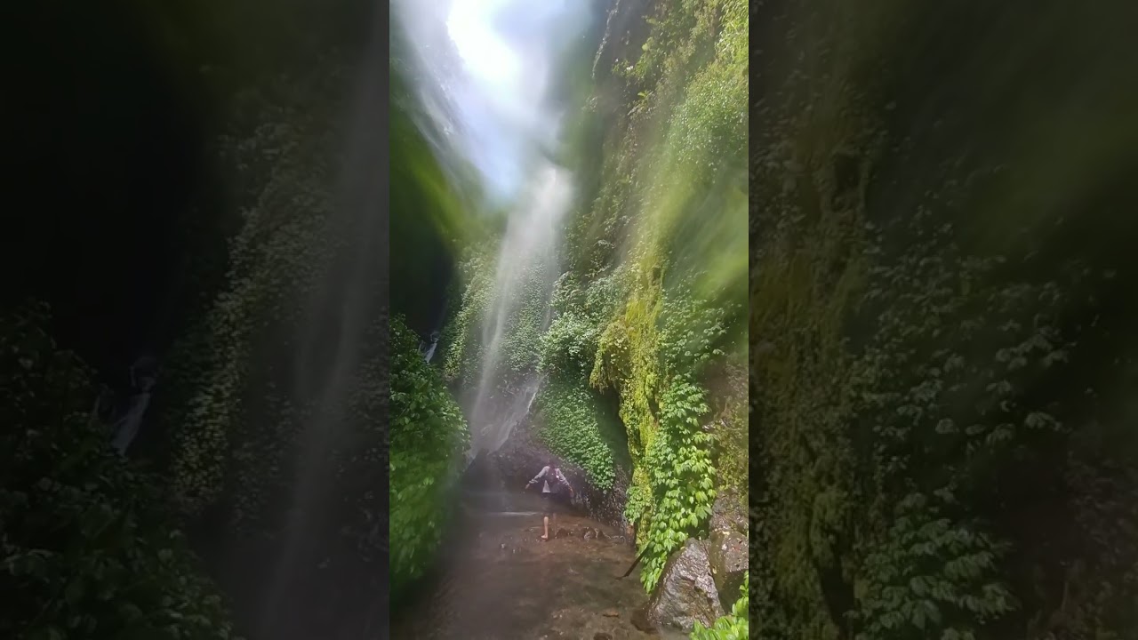 TREKKING CURUG CIBEUREUM GUNUNG GEDE PANGRANGO CIBODAS #gununggedepanjang #curugcibeureum