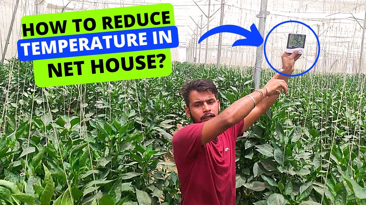 How to Reduce Temperature in Net House?