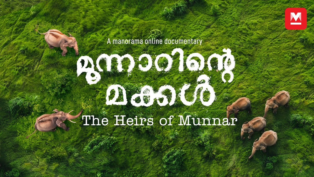 ആനകൾ ഇല്ലാത്ത മൂന്നാറിൽ മനുഷ്യർക്ക് ജീവിക്കാനാകുമോ? | Munnar: The world of elephants