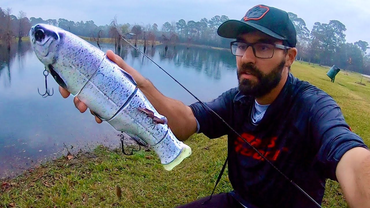 GIANT BASS FISHING  after 1000 TROUT WERE STOCKED!