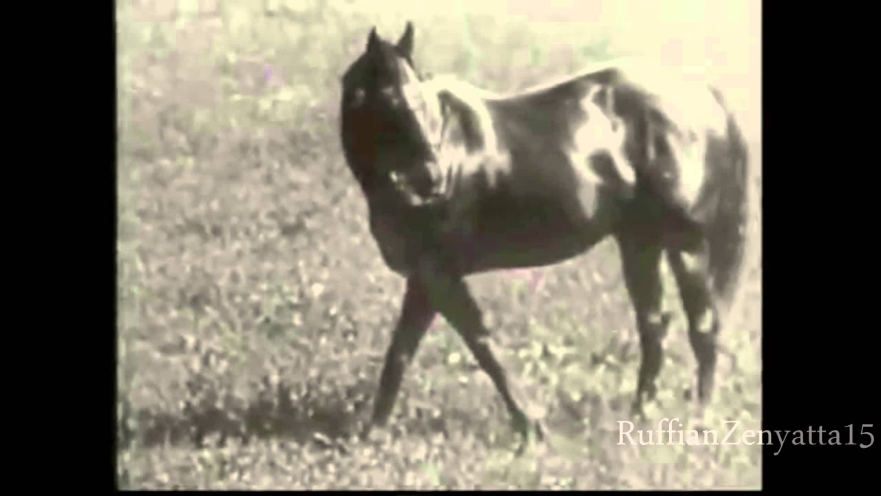 Man O' War Rare Video