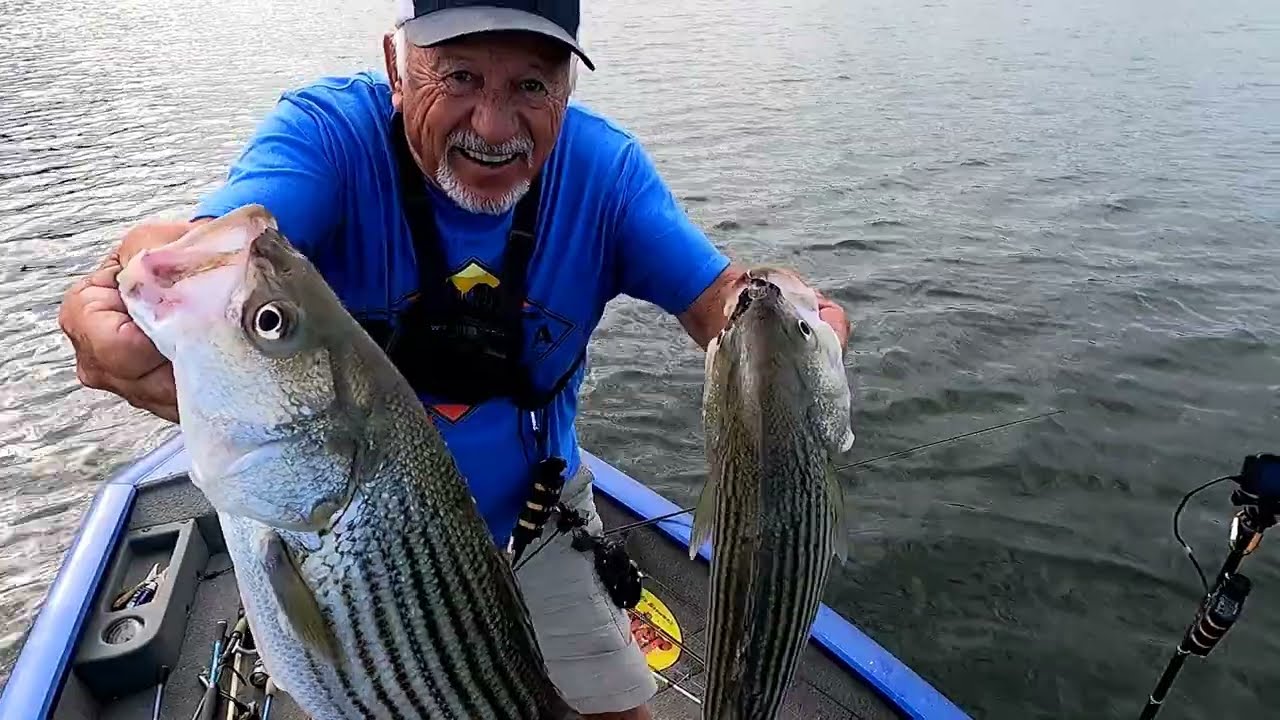 Best Presentation Using A Flutter Spoon For Striper