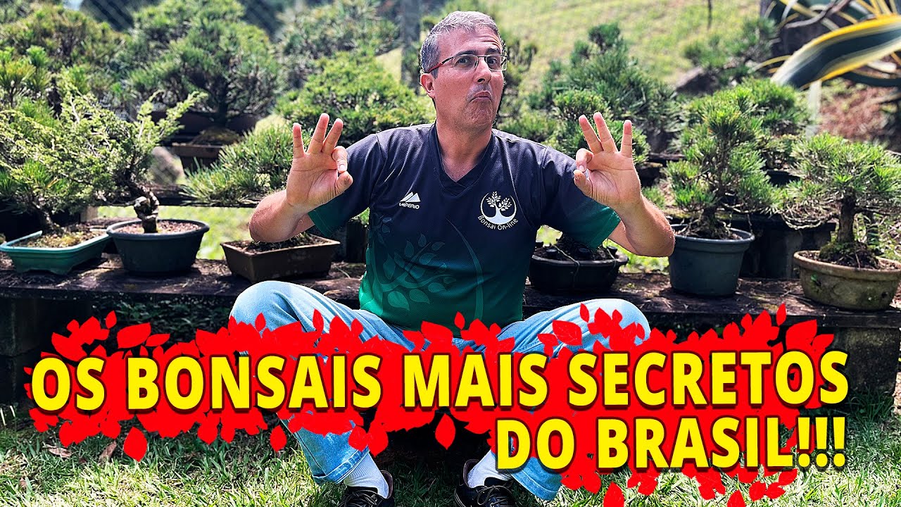 VISITEI A COLEÇÃO DE BONSAI DE PINHEIRO MAIS SECRETA DO BRASIL!!!