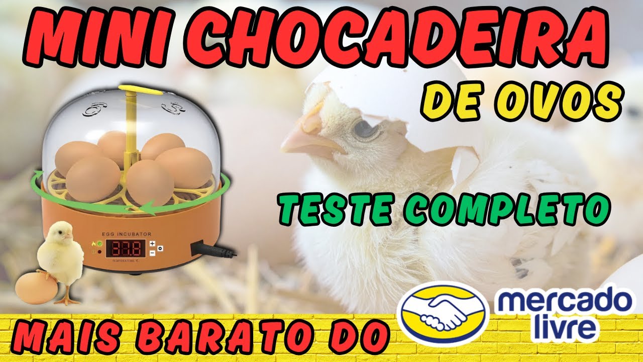 Mini Chocadeira de Ovos - A mais Barata do Mercado Livre, Realmente Funciona?