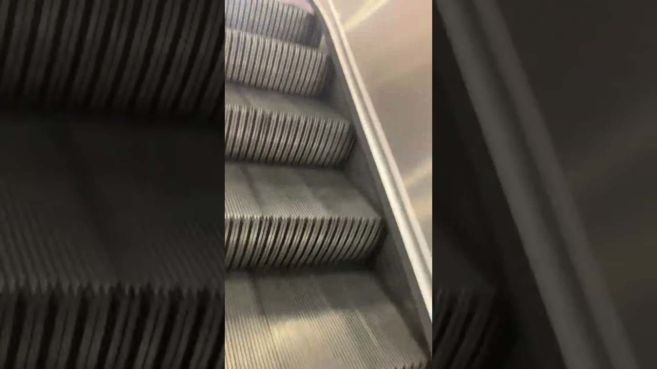 Montgomery elevator at Macys at the Fayette mall in Lexington