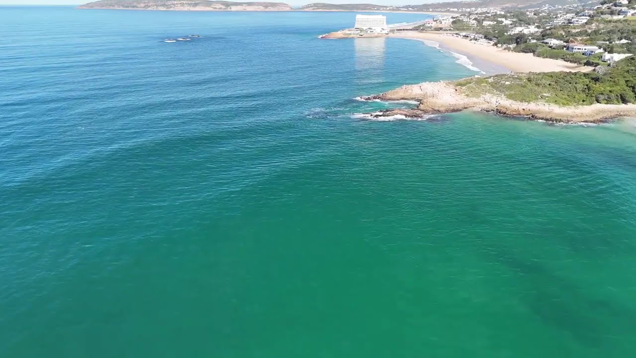 Plettenberg Bay Whale tail: Flight from whale tail over the sea to the mouth and back