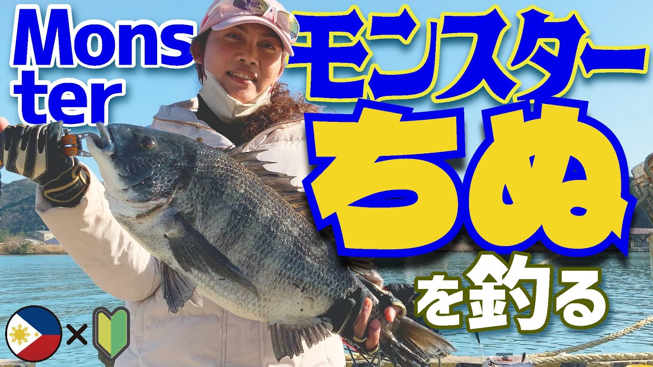【ちぬフカセ釣り】フィリピーナ、【モンスターちぬ】を釣る！！／Monster Black sea bream