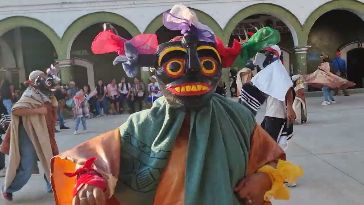 Carnaval san miguel ahuehuetitlan 2026 