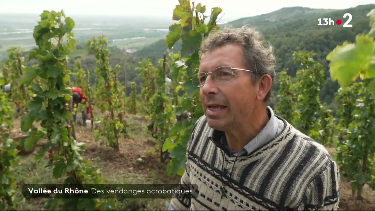 Fr2 Vins de l'AOP Saint Joseph, vallée du Rhône, 2024