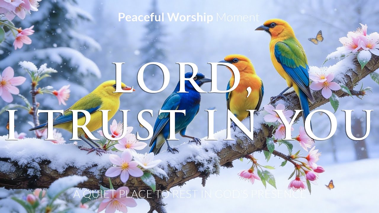 LORD I TRUST IN YOU | Peaceful Instrumental Worship for Deep Prayer, Devotion & Meditation with God