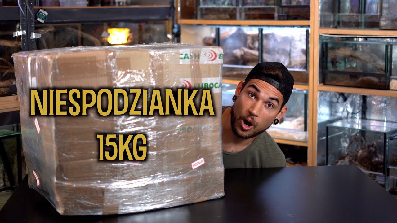 Paczka NIESPODZIANKA #68 Nie zasługuję na Was 😍