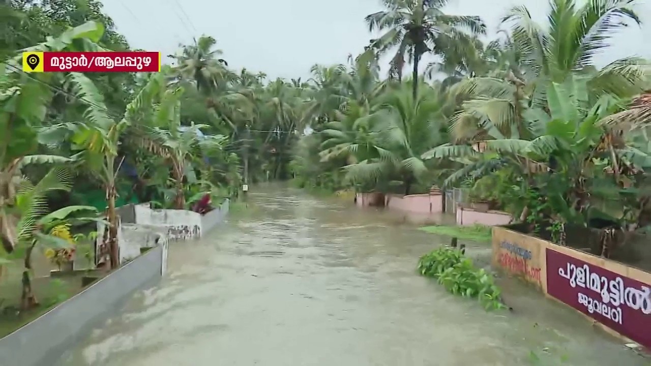 കുട്ടനാട്ടിൽ ഏറ്റവും ദുരിതം മുട്ടാറിൽ, 90 ശതമാനം പേരെയും ആളുകളെ മാറ്റിപ്പാർപ്പിച്ചു